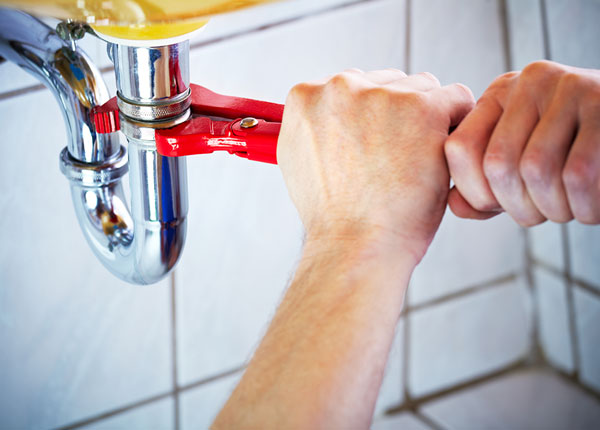 About Roebuck Plumbers